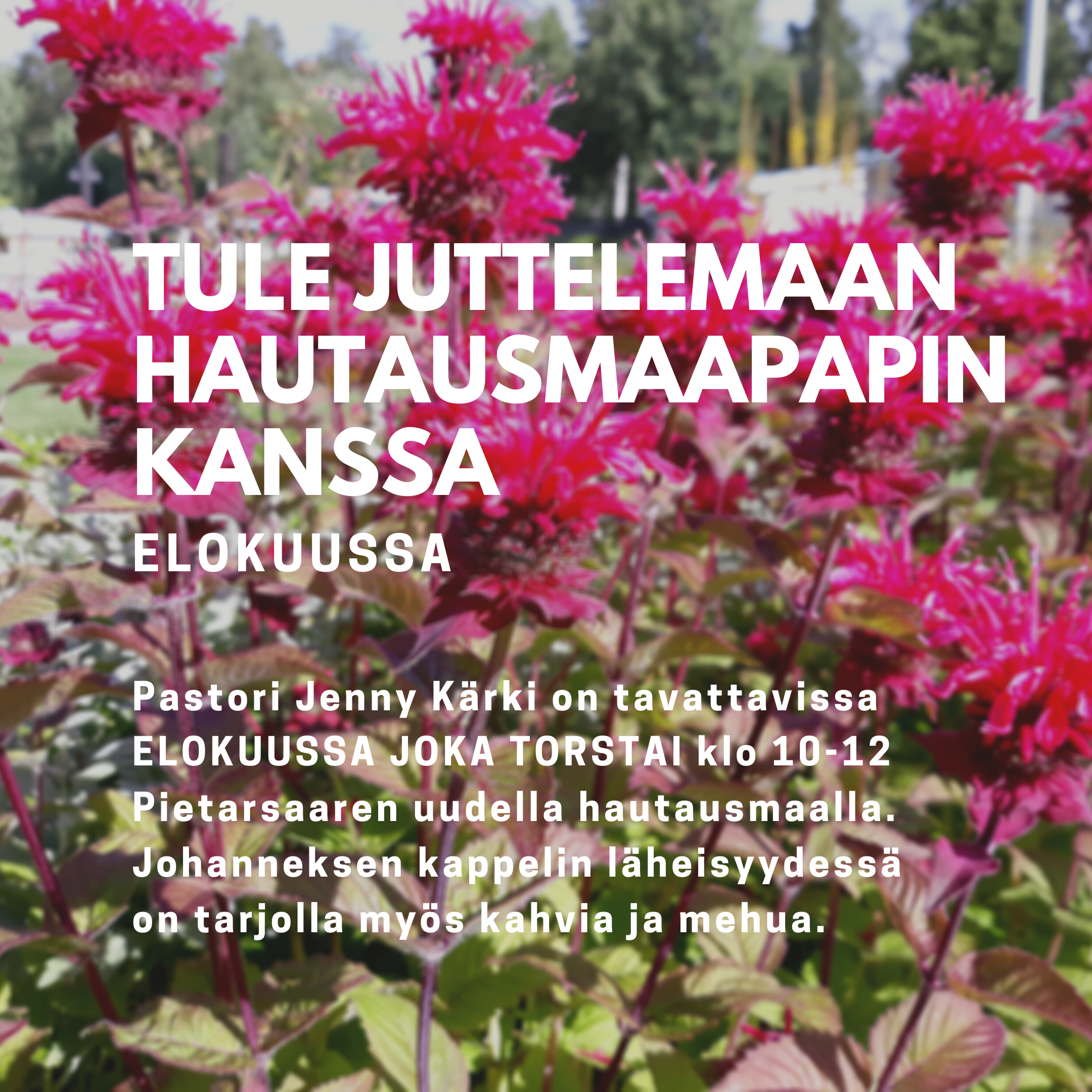 tule tapaamaan hautausmaapappia.png